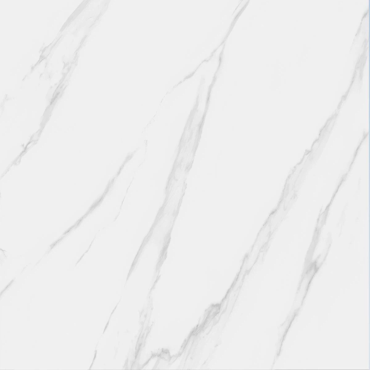 product-1200-1200 product-1200-1200